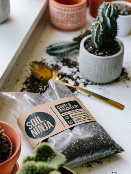 Cacti & Succulent Soil