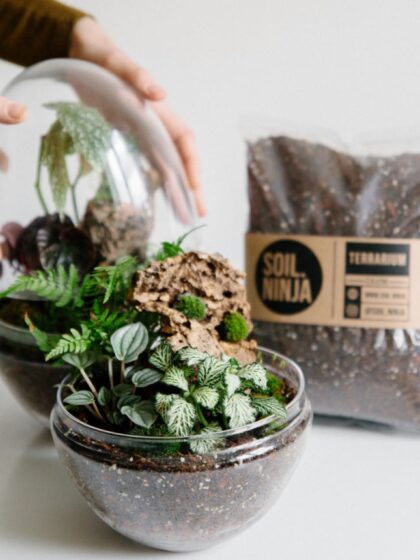 Terrarium Soil