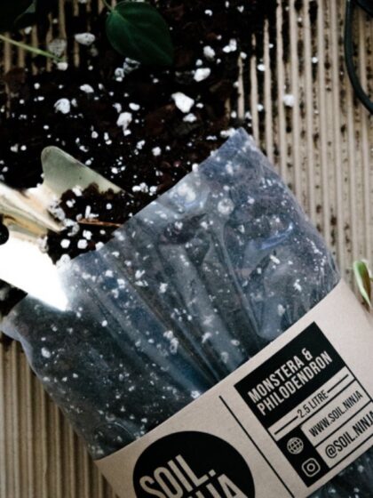 Monstera & Philodendron Soil