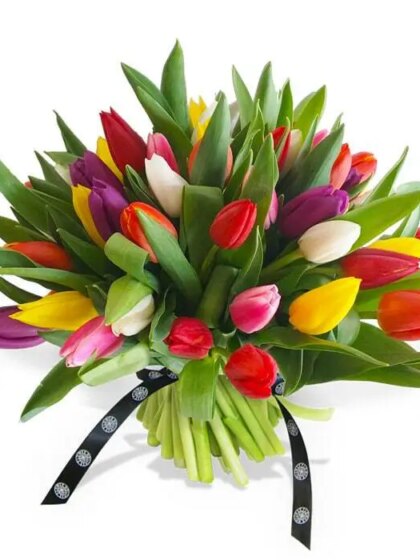 Mixed Tulips