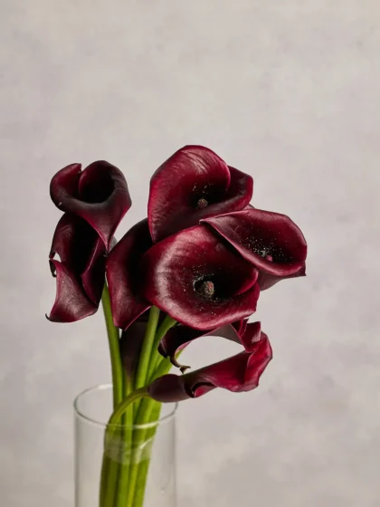 Calla Lillies