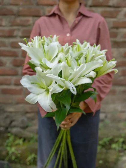 Simply Stems
