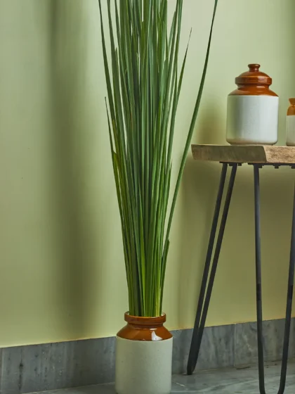 Fresh Rambaan stems styled foam-free in a glass mason jar burni - premium eco-friendly flower delivery Mumbai.