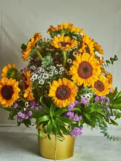Sunflower fields