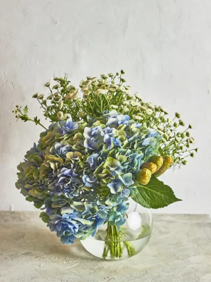 Blue Green Shaded Hydrangeas Arrangement
