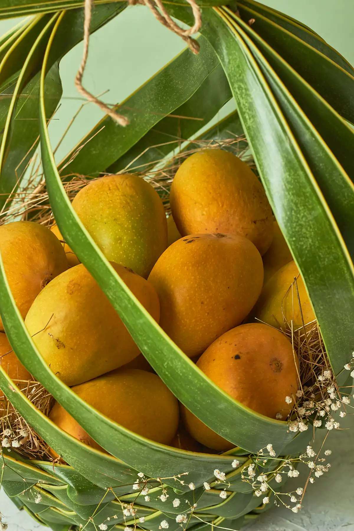 Mango Bow Basket - Image 3