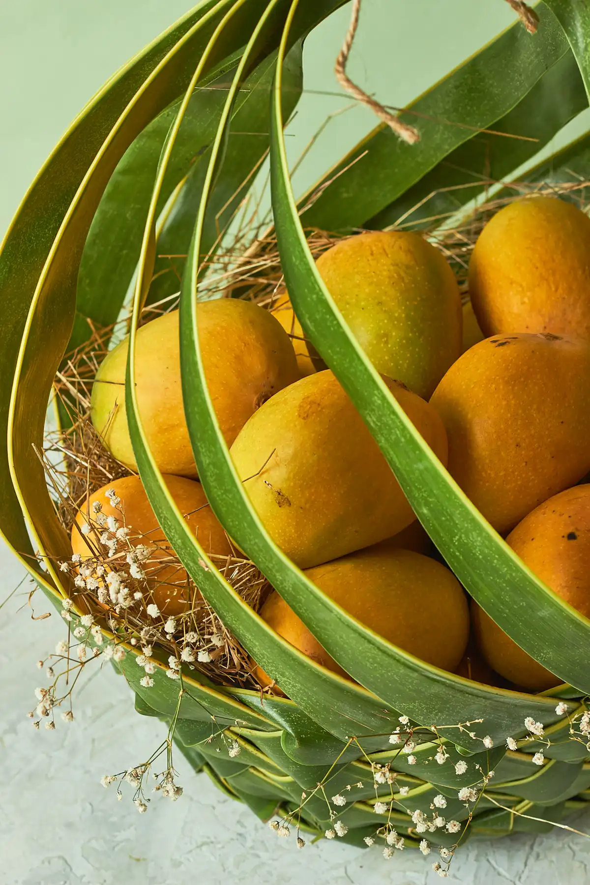 Mango Bow Basket - Image 2