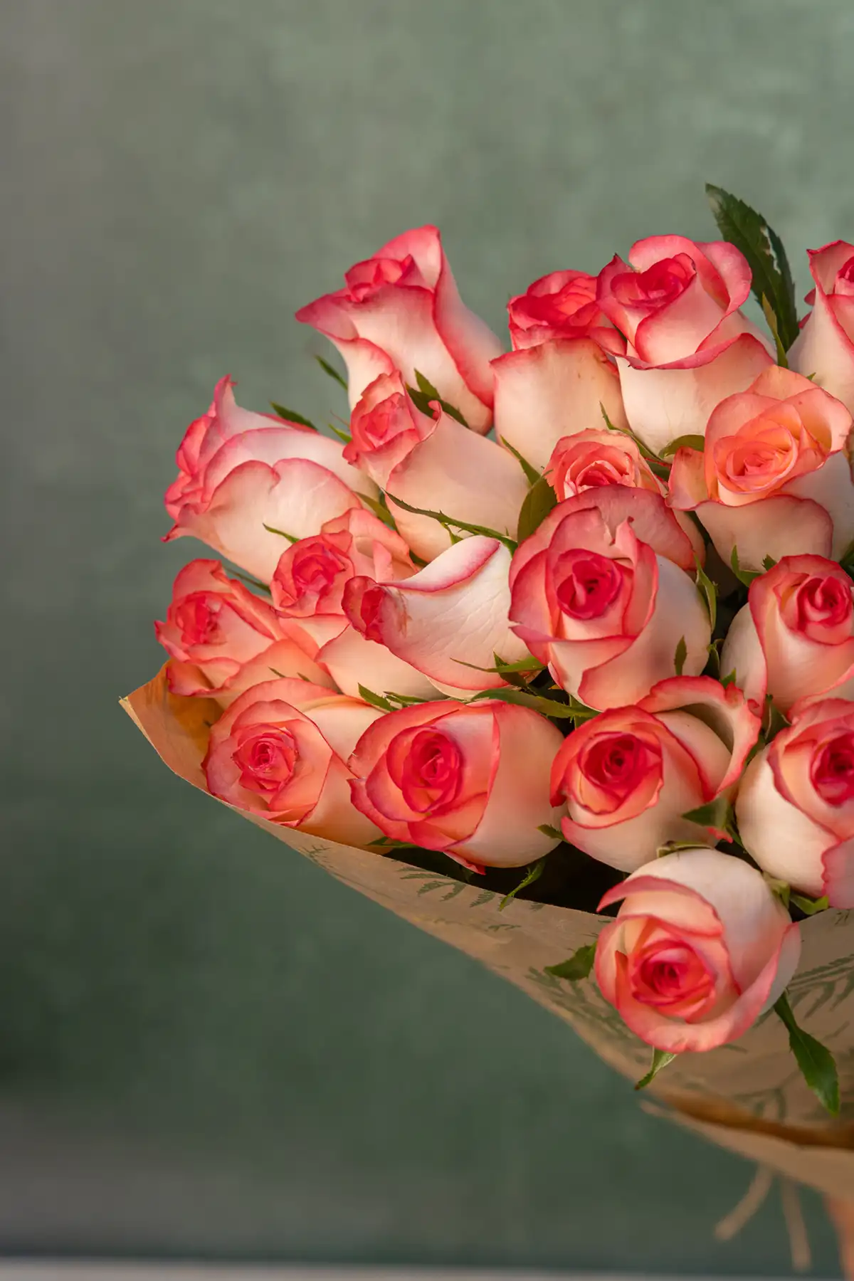 Jumelia Roses - Image 3