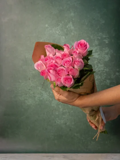 Light Pink Roses