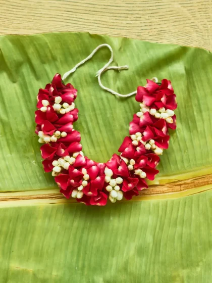 Gulabi Gajra