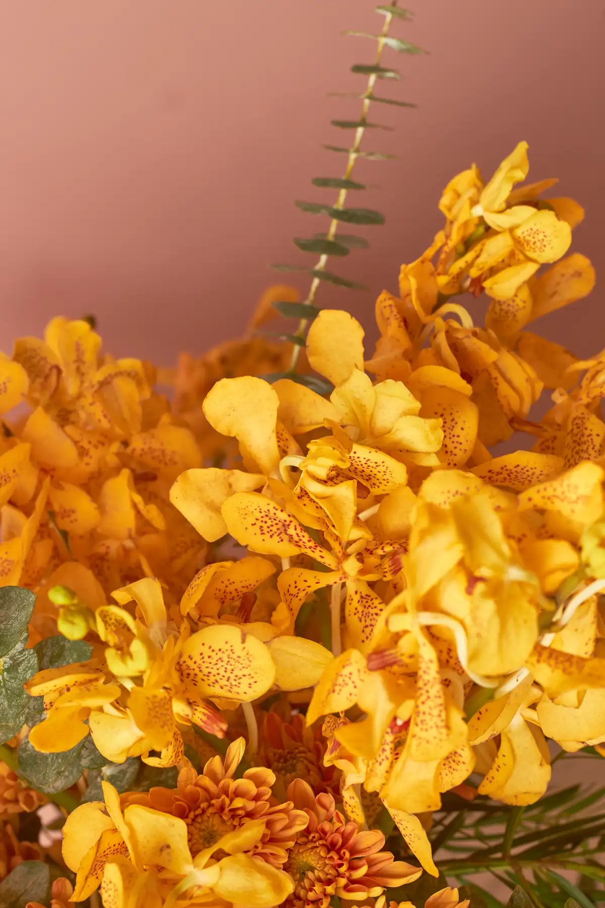 Golden Glam - Image 4